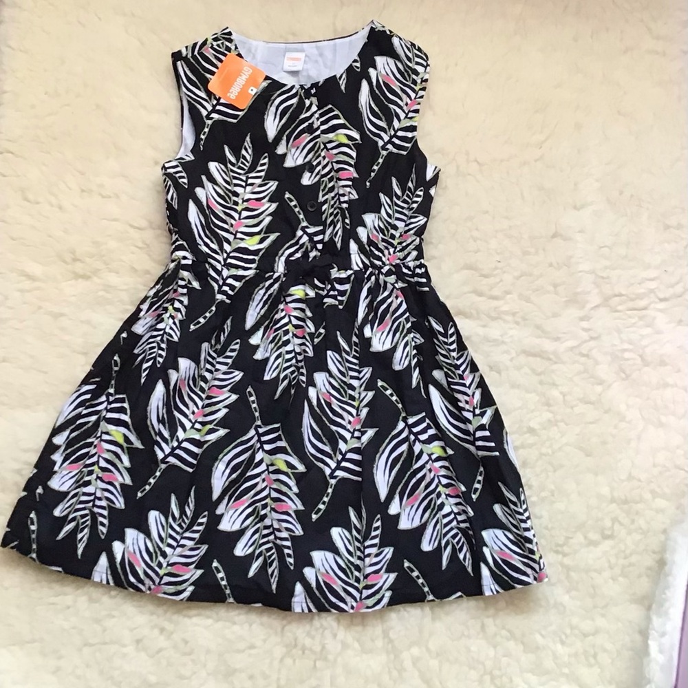Girl Gymboree dress